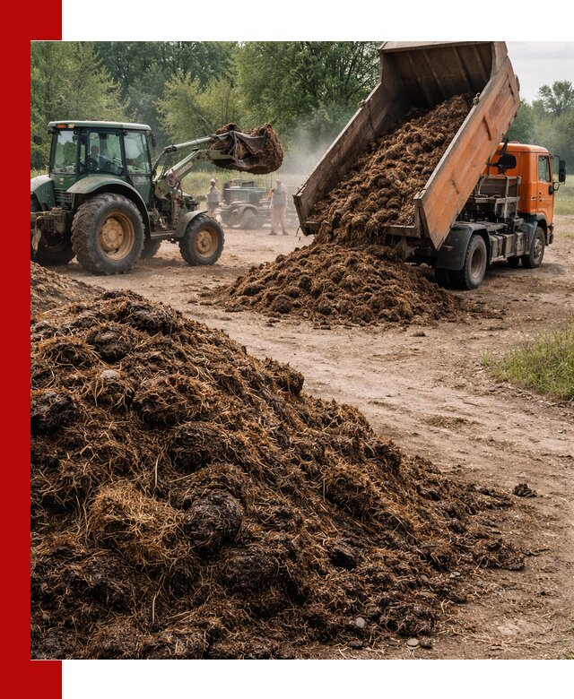 Доставка навоза самосвалами в Ивантеевке для сельхозпотребностей