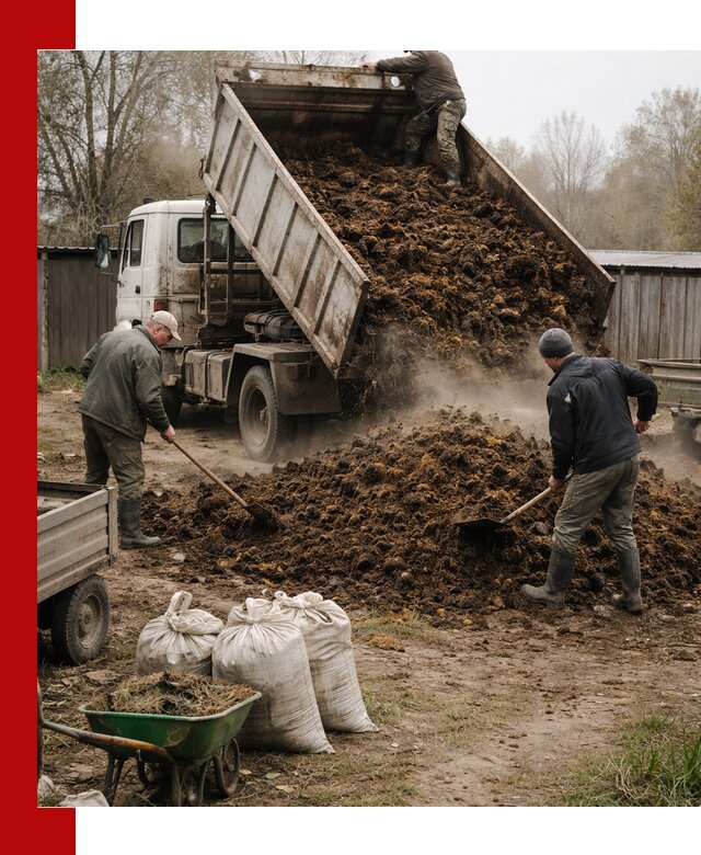 Доставка коровьего навоза самосвалом в Ивантеевке